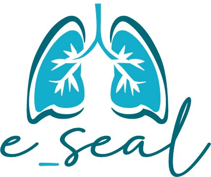E-SEAL